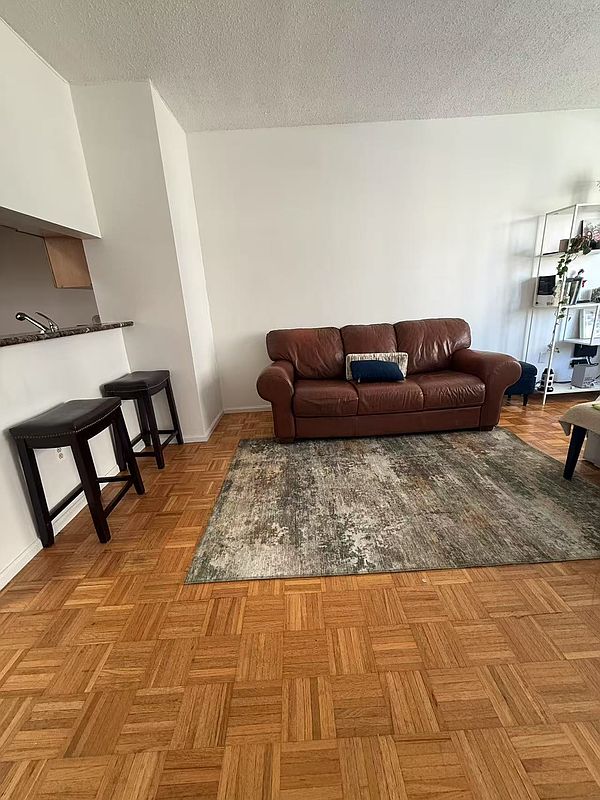 4-74 48th Avenue 4-L Hunters Point Queens NY 11109